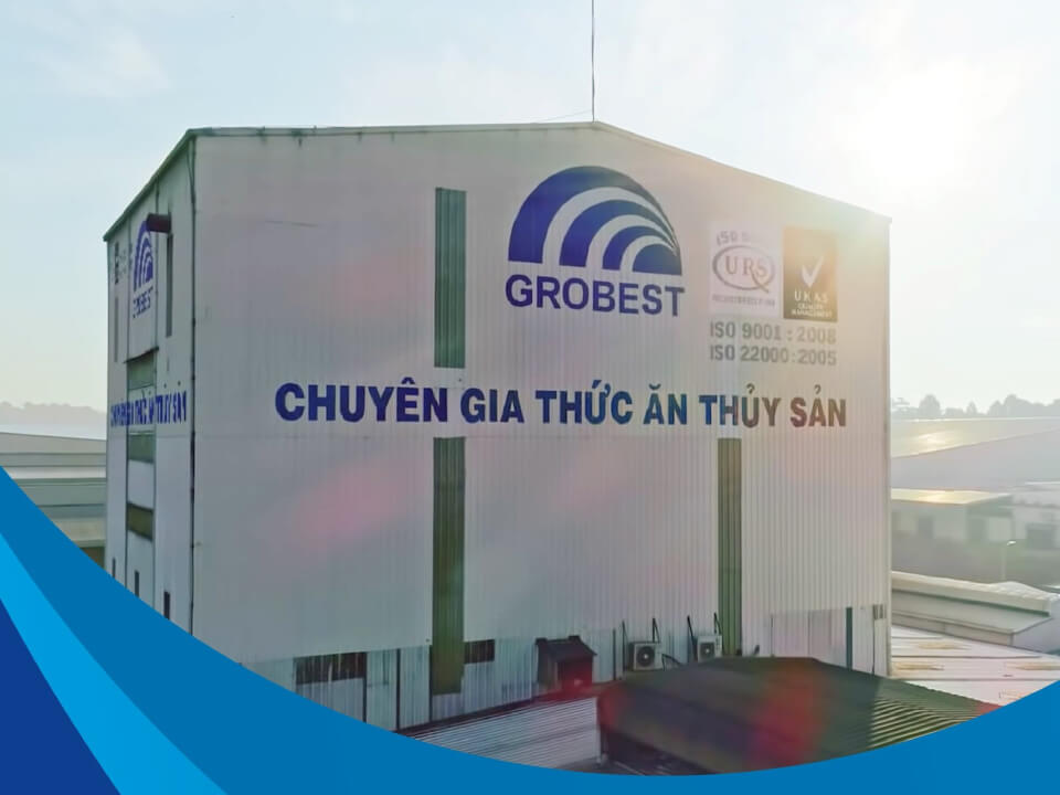 thức ăn nuôi tôm Grobest