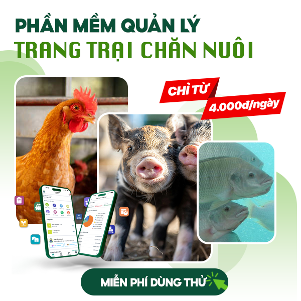 phần mềm quản lý trang trại chỉ từ 4000đ/ngày