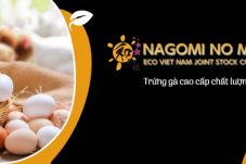 trứng gà cao cấp nagomi