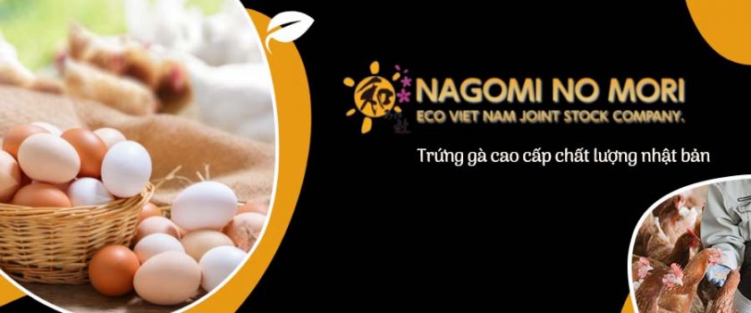 trứng gà cao cấp nagomi