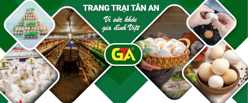 Trứng gà Tân An