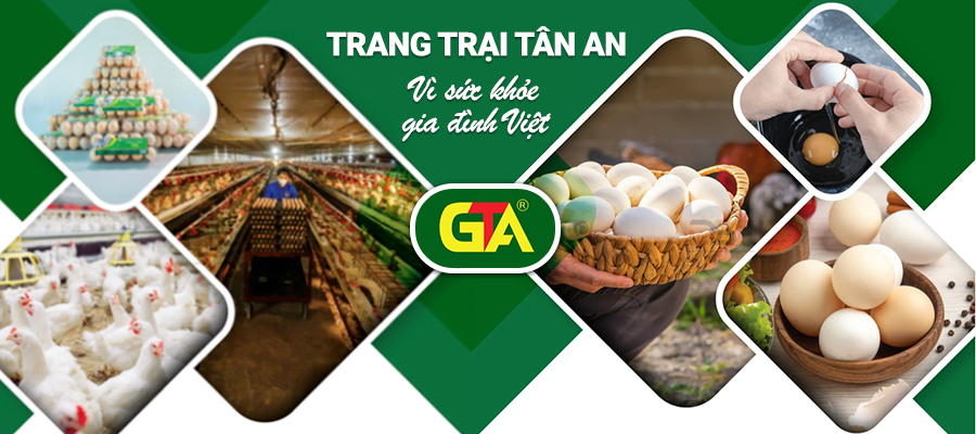 Trứng gà Tân An