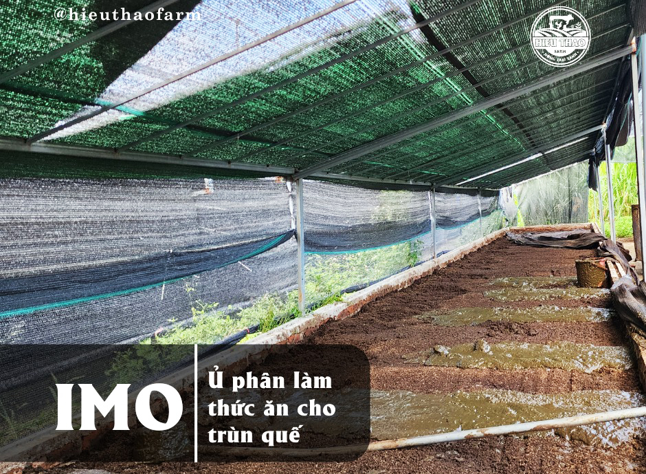 ủ phân làm thức ăn cho trùn quế