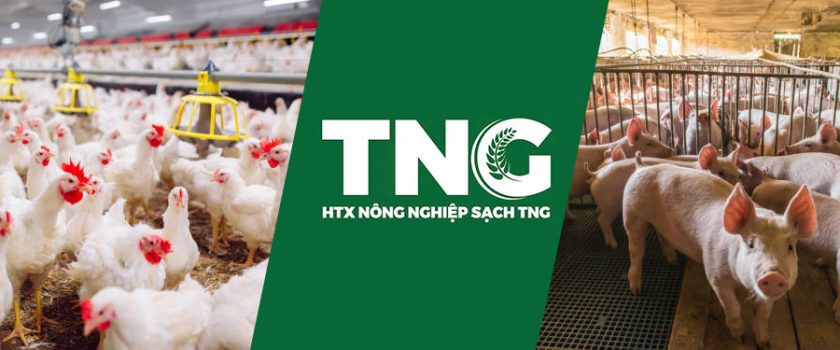 HTX Nông Nghiệp Sạch TNG