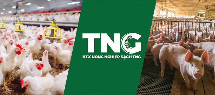 HTX Nông Nghiệp Sạch TNG