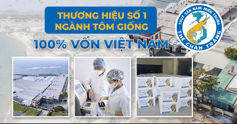 Tôm giống Nam Miền Trung