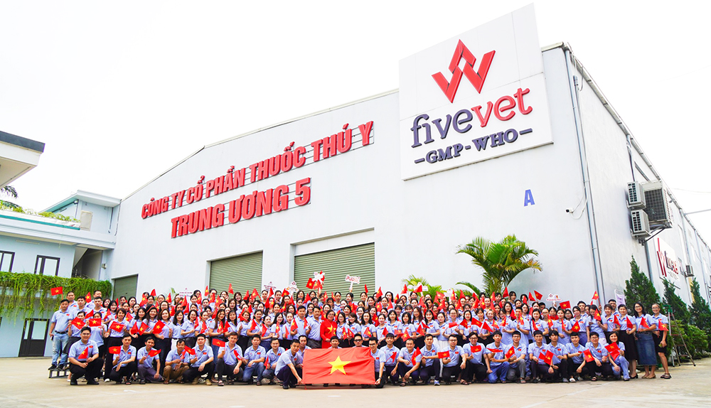 Fivevet nhân sự