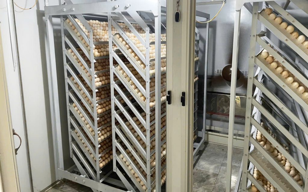 Máy ấp tại cơ sở Tín Dũng