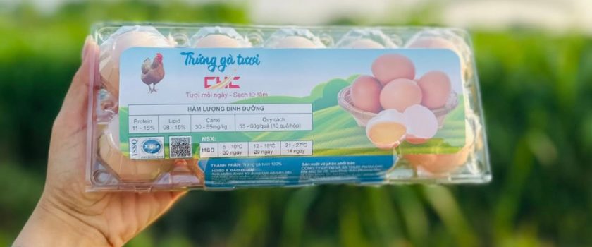 Công ty CPTM và SX Thực phẩm CHC