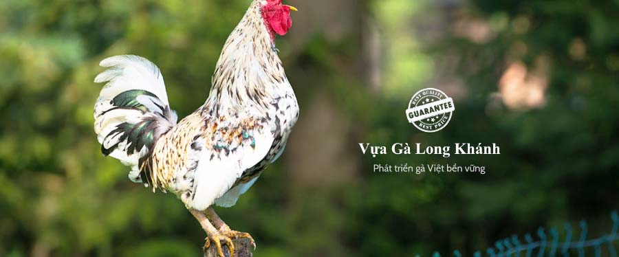 Vựa Gà Long Khánh