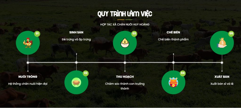 quy trình làm việc htx chan nuoi huy hoang