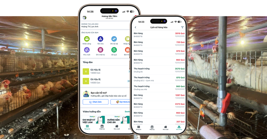 Trứng gà Xuân Hòa hợp tác cùng FarmGo