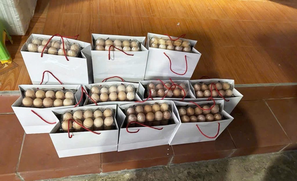 trứng gà xuân hòa giao đóng hộp