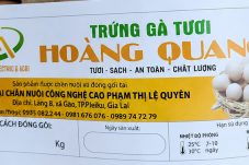 Trứng Gà Hoàng Quang