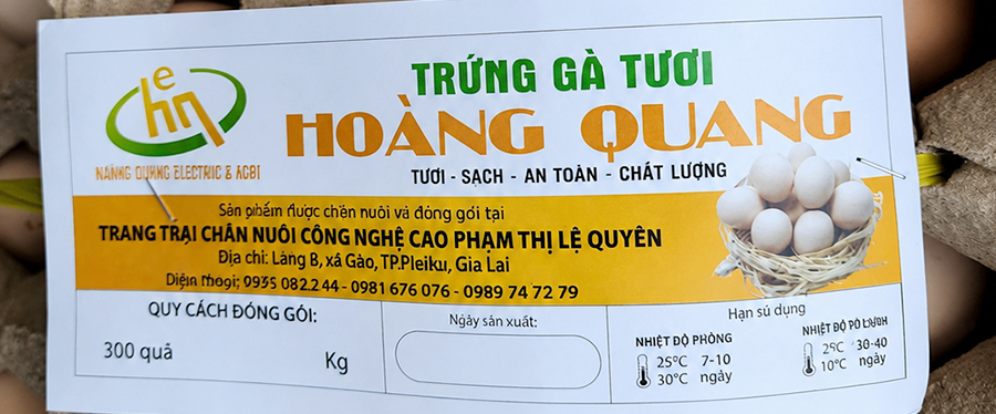 Trứng Gà Hoàng Quang