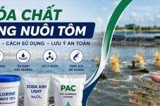 hóa chất trong nuôi tôm