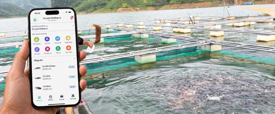 Nuôi cá lồng bè tại Sơn La