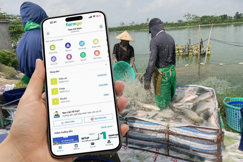 FarmGo trong nuôi cá ở Ứng Hòa