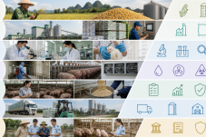 Sơ đồ bảy lớp rào chắn kiểm soát mối nguy trong chuỗi thức ăn chăn nuôi. Ảnh minh họa