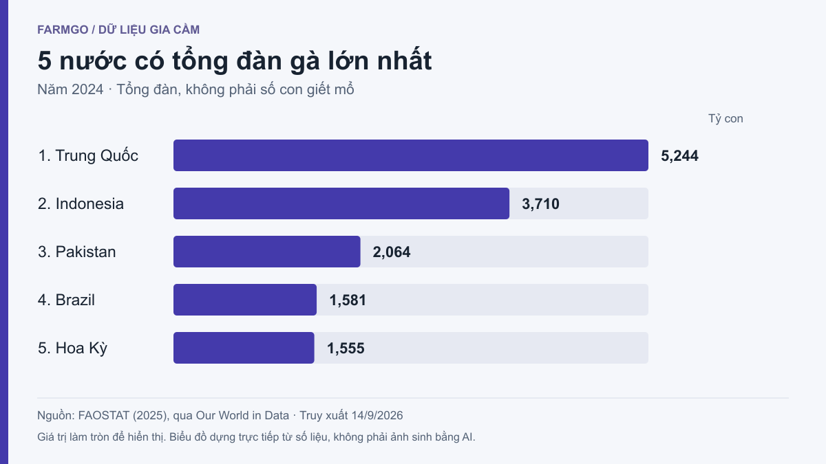 Biểu đồ tổng đàn gà năm 2024 tại năm nước dẫn đầu