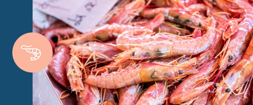 Tôm trong tài liệu FAO GLOBEFISH về các quốc gia xuất khẩu tôm