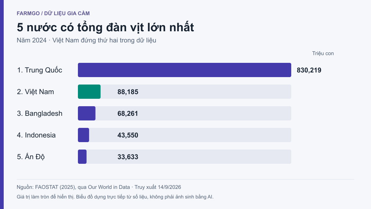 Biểu đồ tổng đàn vịt năm 2024 của năm nước dẫn đầu