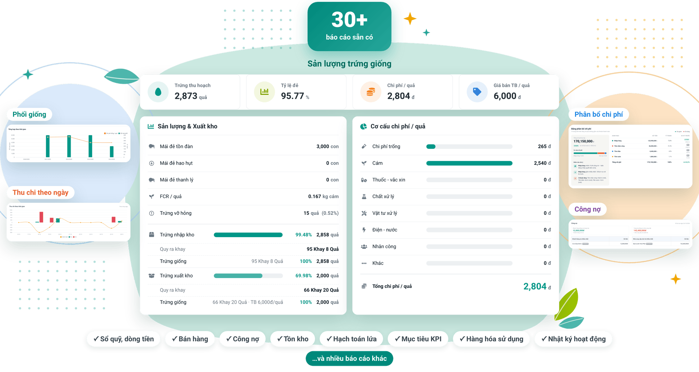 Hơn 30 báo cáo cho trại gà bố mẹ: sản lượng trứng giống, phối giống, sổ quỹ, công nợ