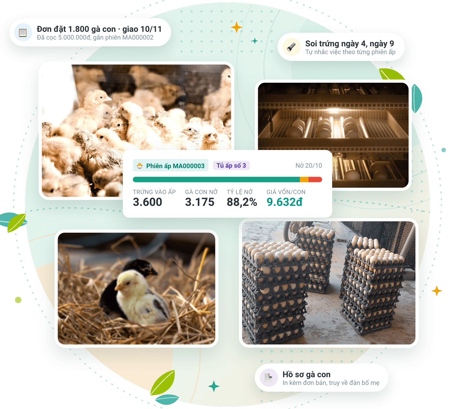 Phần mềm quản lý cơ sở ấp nở gia cầm FarmGo