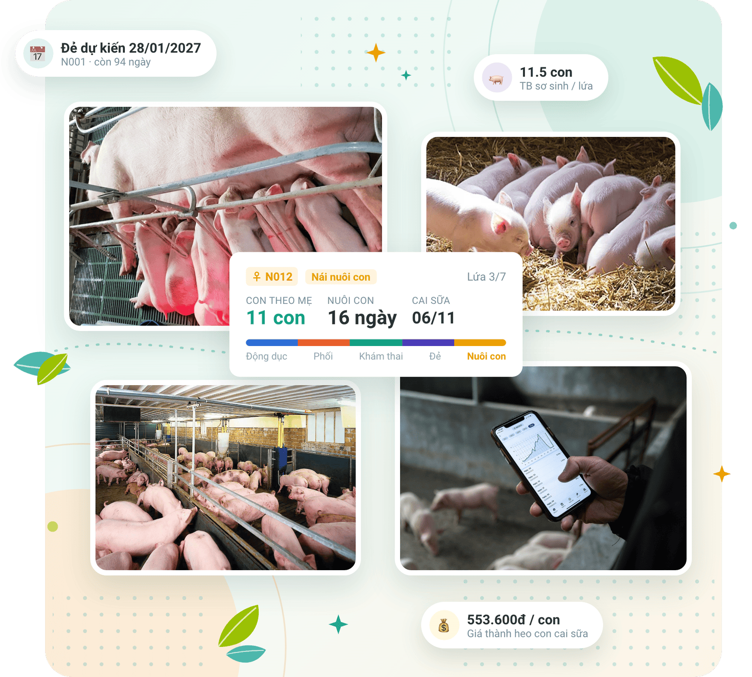 Phần mềm quản lý trang trại heo nái FarmGo