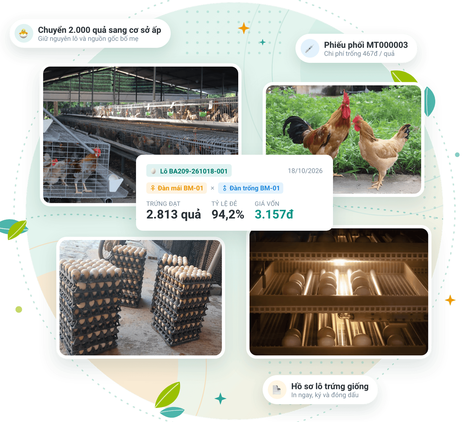 Phần mềm quản lý trang trại gà bố mẹ FarmGo
